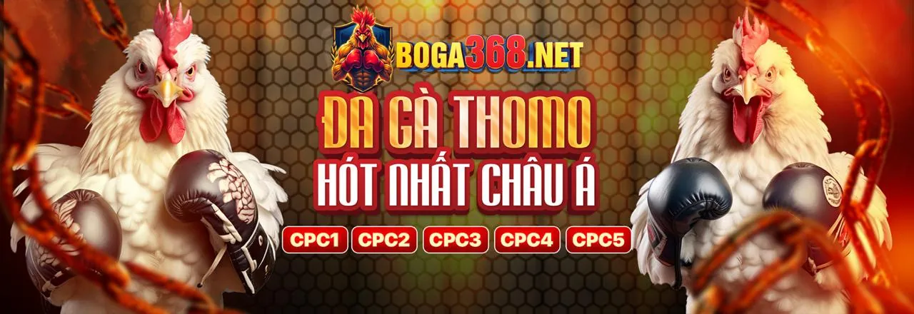 Đá gà trực tuyến 01win55 code